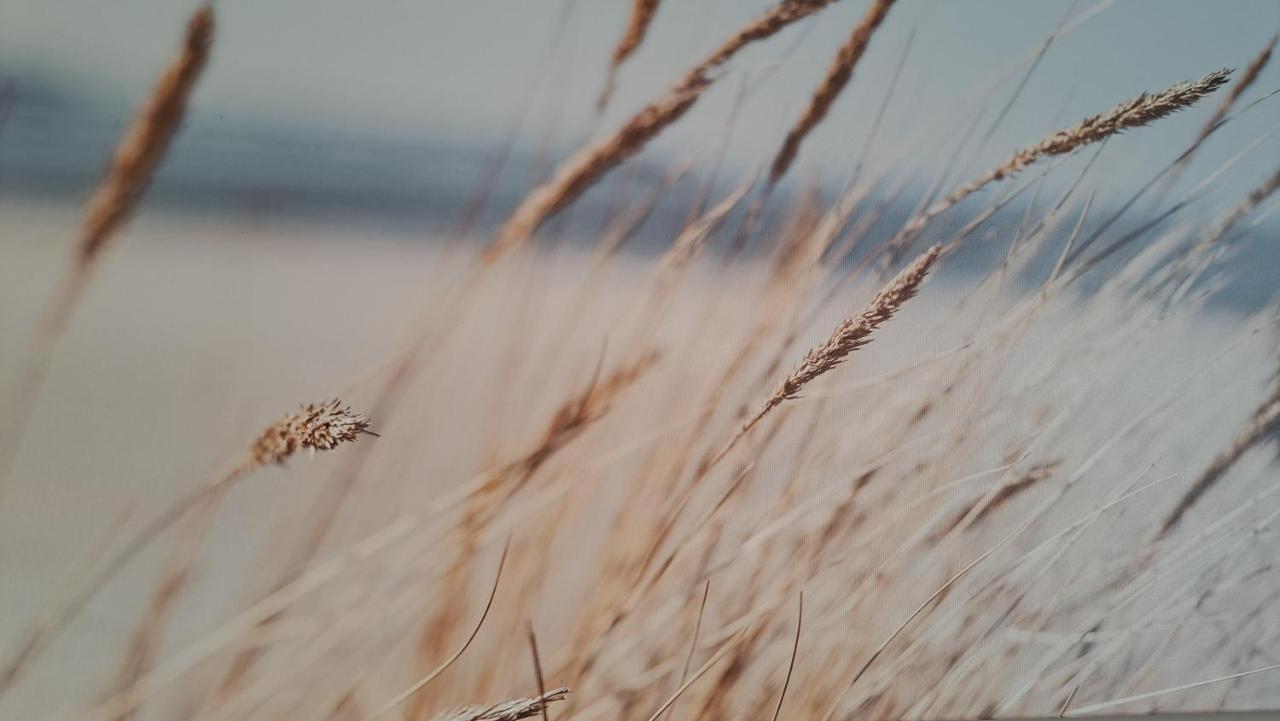 Vila Gile Palanga Bagian luar foto